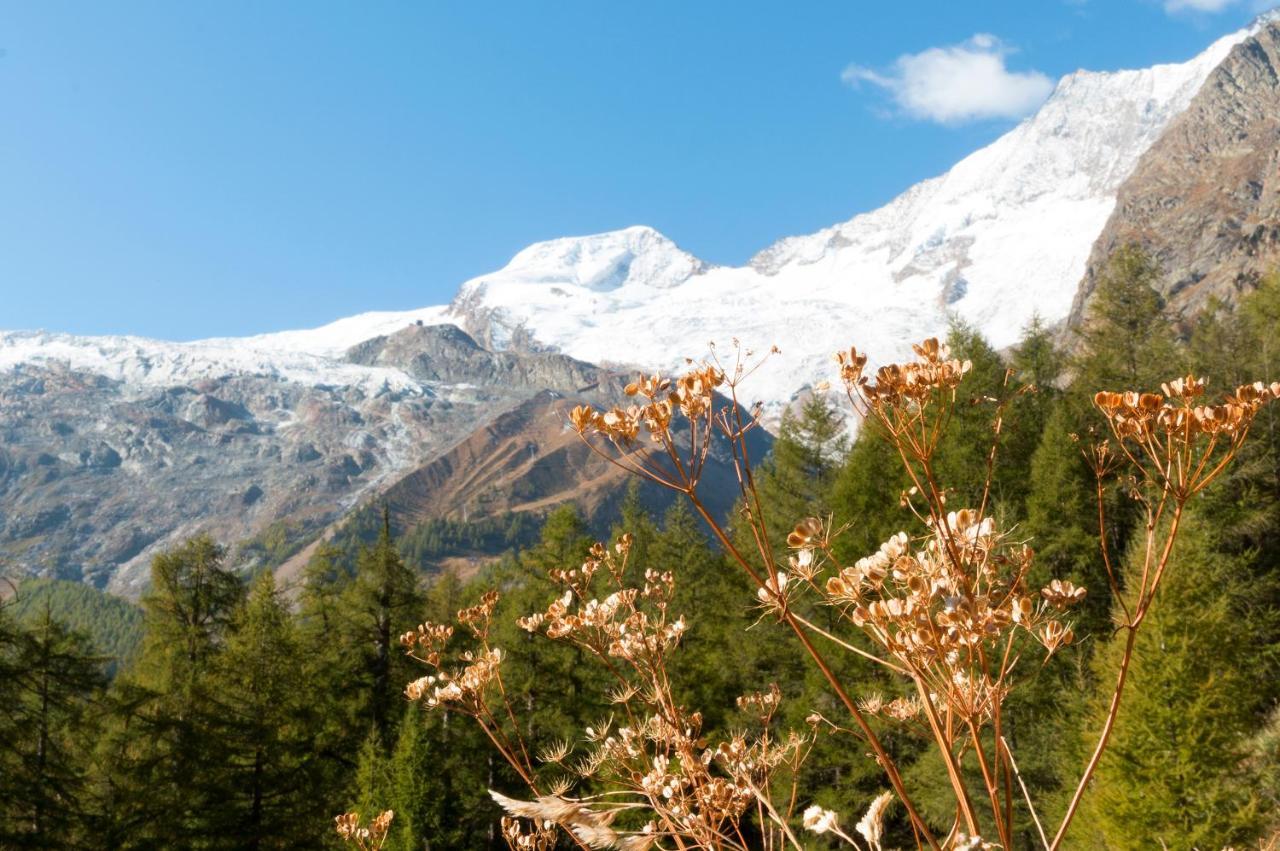 Am Biel Apartment Saas-Fee
