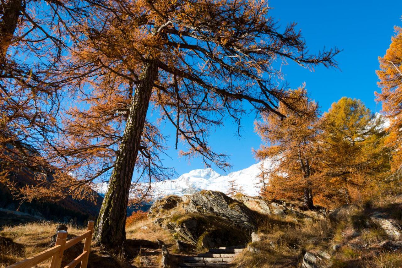 Am Biel * Saas-Fee