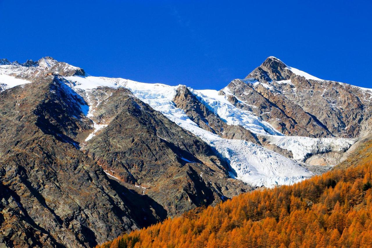 Apartment Am Biel Saas-Fee