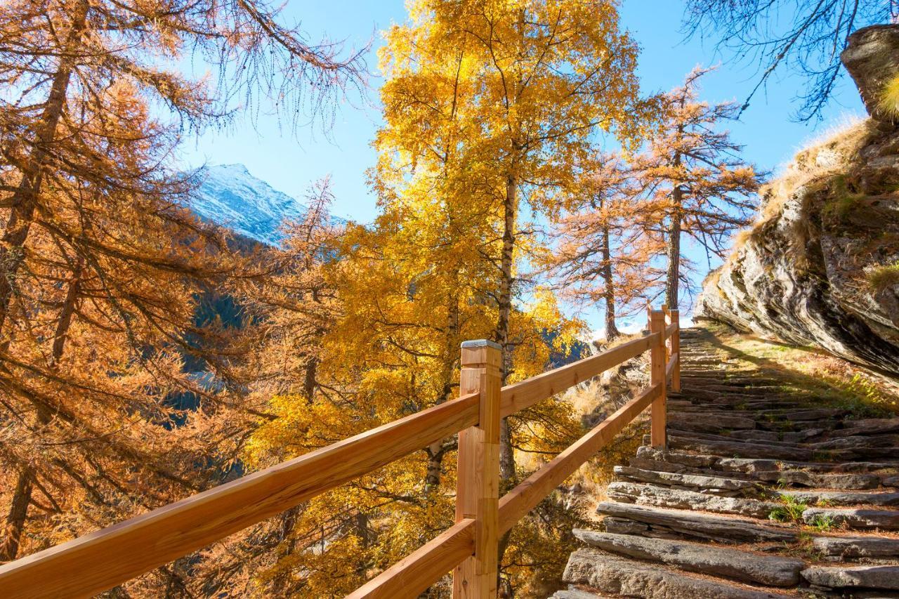 Am Biel Saas-Fee